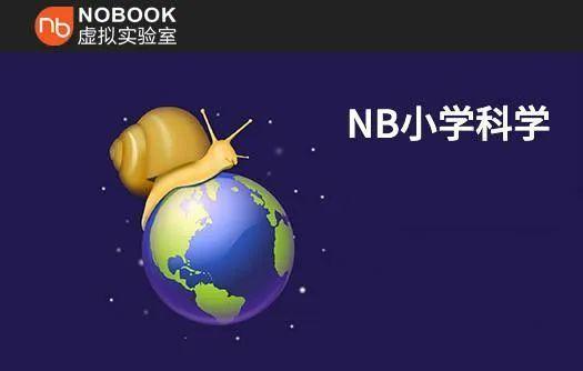 nobook虚拟实验室是一家k12课程教育软件开发及互联网智能平台教学